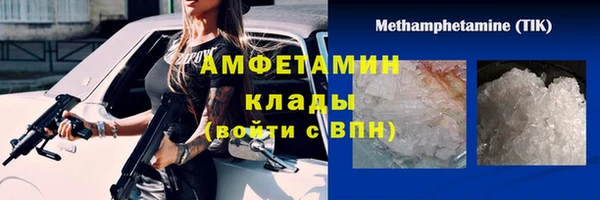 гидра Белокуриха
