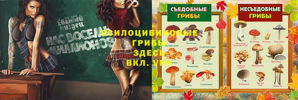 гидра Белокуриха