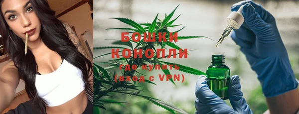 гидра Белокуриха