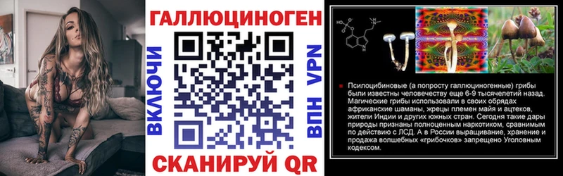 shop состав  купить   Озёрск  Галлюциногенные грибы Cubensis 